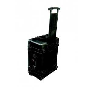 PELI, 1560 Case no foam, Black